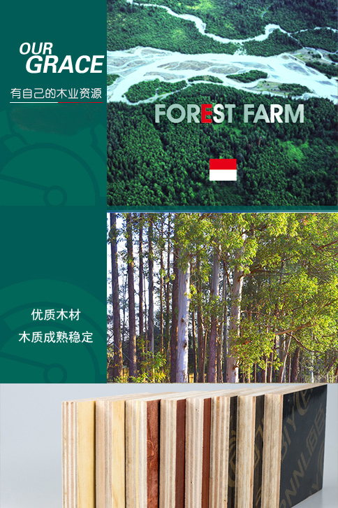 廣西建筑模板_建筑模板廠家_柳州建筑模板_柳州建筑模板廠家_柳州市鑫晶木業(yè)有限公司